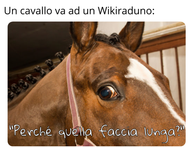 meme